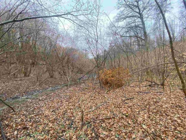 Prodej pole, Ždánice, 3207 m2