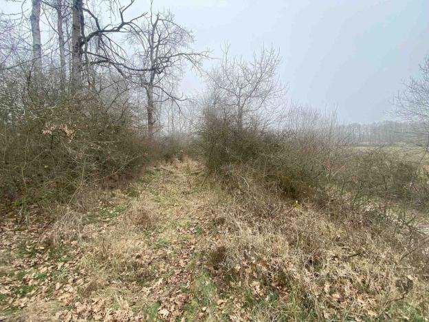 Prodej pole, Slatina, 11302 m2