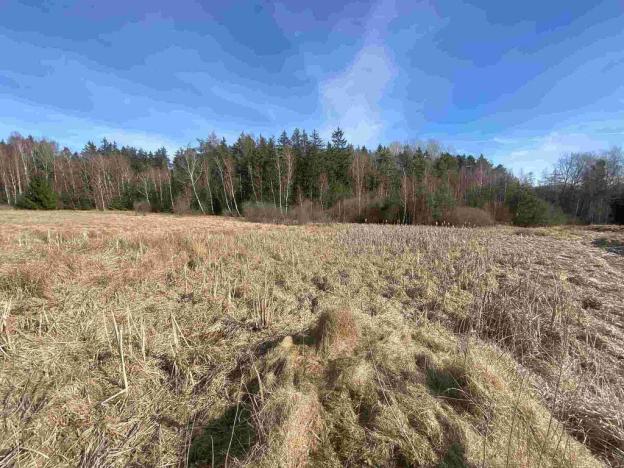 Prodej pole, Františkovy Lázně, 15408 m2