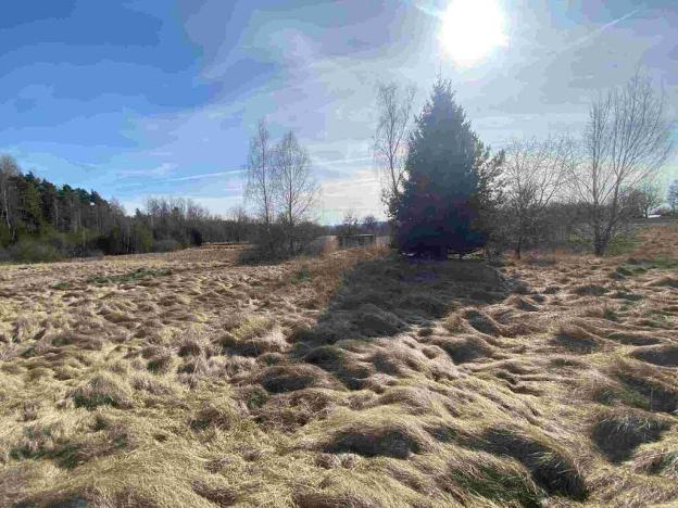 Prodej pole, Františkovy Lázně, 15408 m2