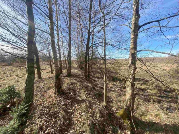 Prodej pole, Františkovy Lázně, 15408 m2