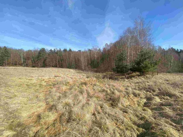 Prodej pole, Františkovy Lázně, 15408 m2