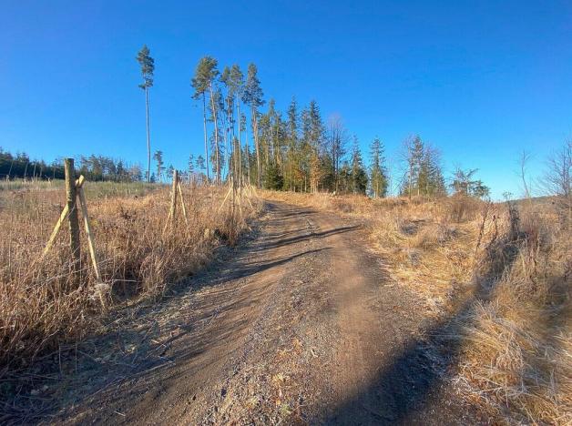 Prodej pole, Kočov - Klíčov, 3847 m2