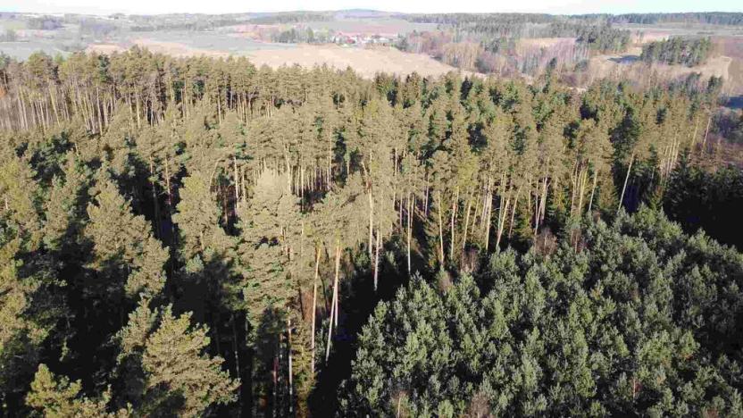 Prodej pole, Kočov - Klíčov, 3847 m2