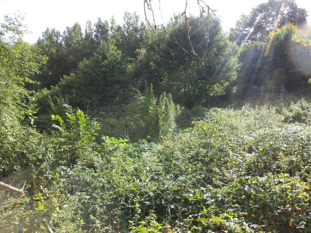 Prodej pole, Malé Březno, 14517 m2