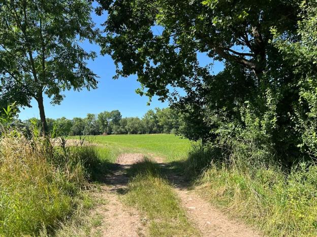 Prodej louky, Šestajovice, 3641 m2