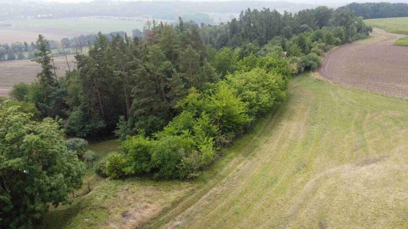 Prodej pozemku, Skuteč, 864 m2