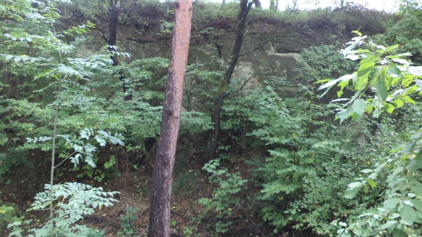 Prodej pozemku, Skuteč, 864 m2