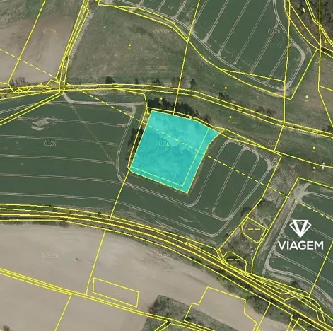 Prodej lesa, Jindřichův Hradec, 7182 m2