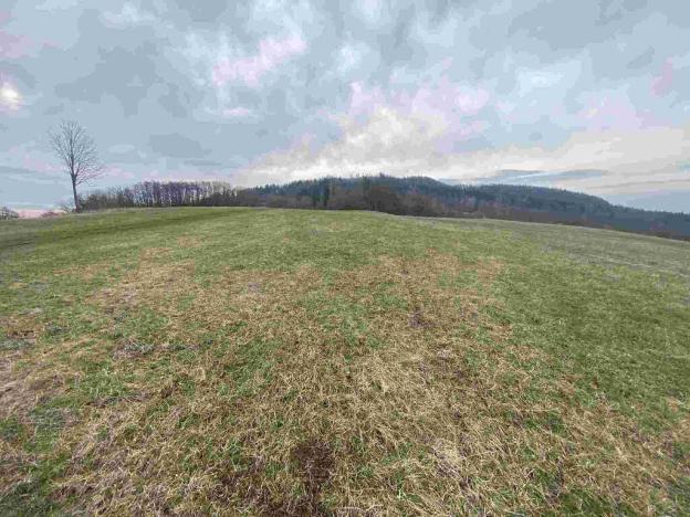 Prodej pole, Mírová pod Kozákovem, 22044 m2