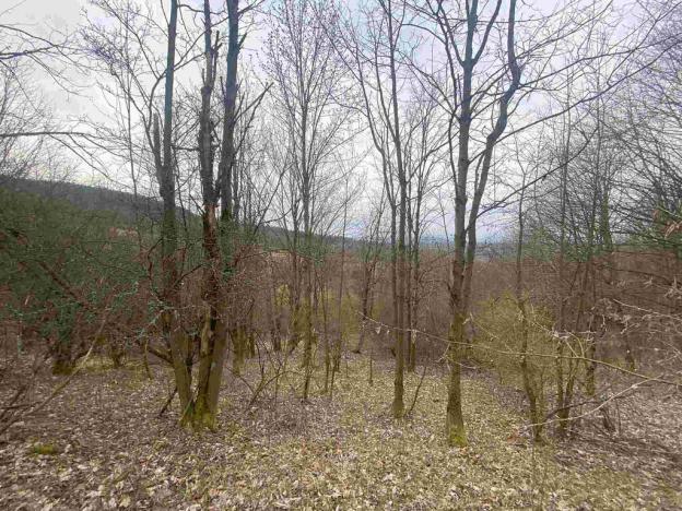 Prodej pole, Mírová pod Kozákovem, 22044 m2