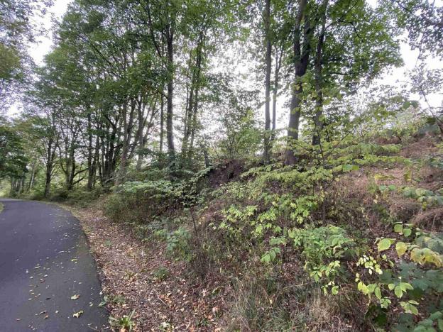 Prodej pole, Dolní Nivy, 1197 m2