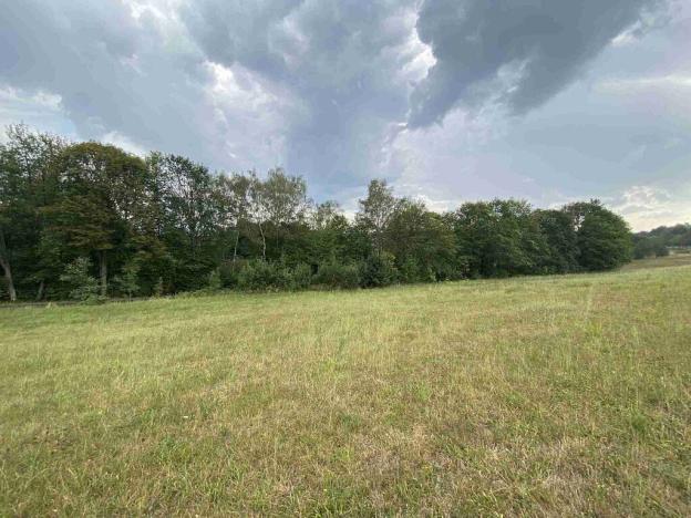 Prodej pole, Dolní Nivy, 1197 m2