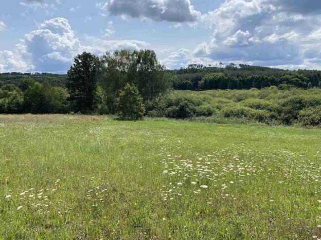 Prodej pole, Lhenice - Hrbov, 55481 m2