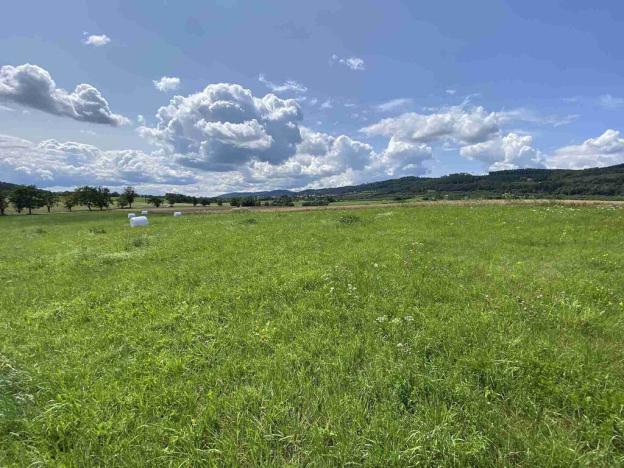 Prodej pole, Lhenice - Hrbov, 55481 m2