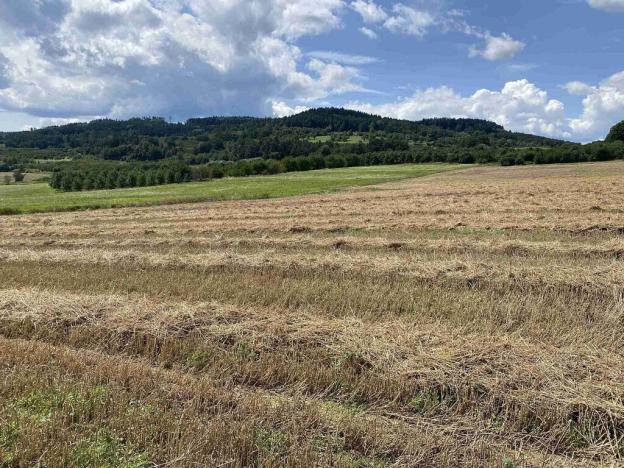 Prodej pole, Lhenice - Hrbov, 55481 m2