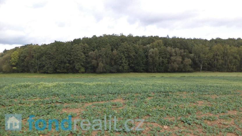 Prodej pole, Rosovice, 1718 m2