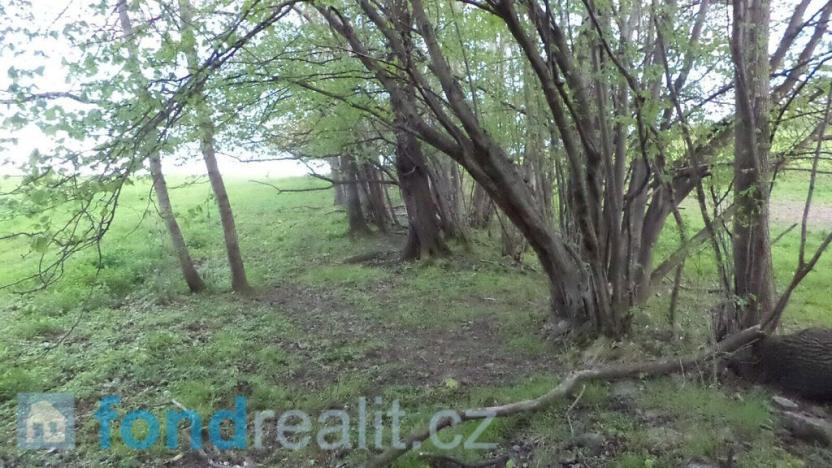 Prodej pozemku, Vlčice, 1867 m2