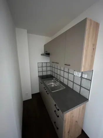 Pronájem bytu 1+kk, Liberec, Revoluční, 29 m2