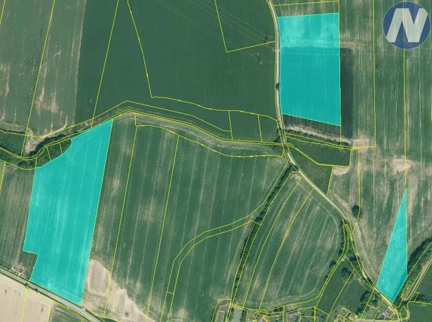 Prodej podílu pole, Němčice, 182831 m2