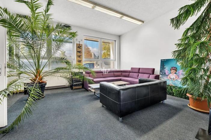 Pronájem kanceláře, Plzeň, Hřbitovní, 378 m2