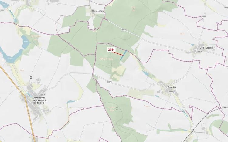 Dražba lesa, Vícenice, 6645 m2