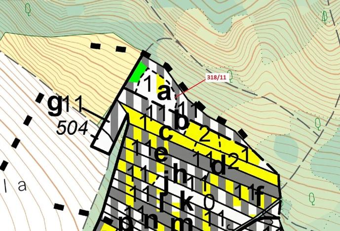 Dražba lesa, Lesní Hluboké, 3838 m2