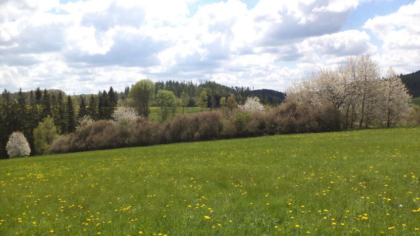 Prodej pozemku, Vítkov, 5357 m2