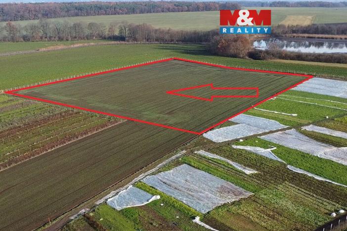Prodej pole, Nové Dvory, 9979 m2