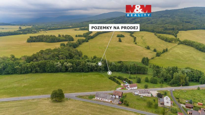 Prodej louky, Dětřichov, 4178 m2