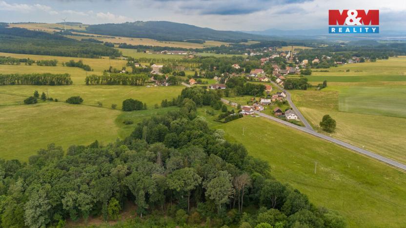 Prodej louky, Dětřichov, 4178 m2