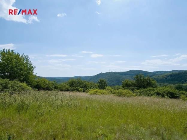 Prodej louky, Štěchovice, 4332 m2