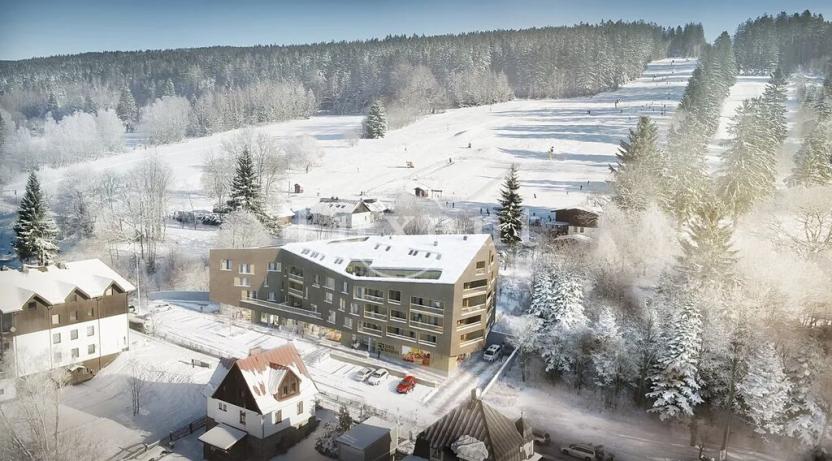 Prodej bytu 2+kk, Železná Ruda, 63 m2