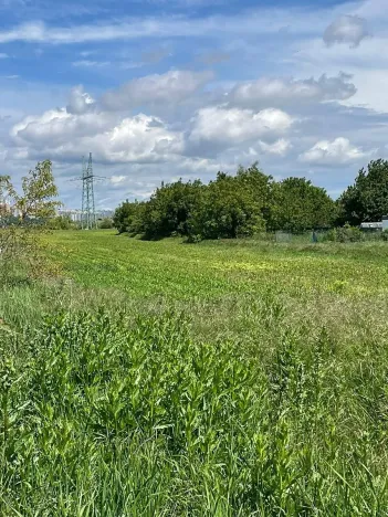 Dražba pozemku, Troubsko, Ostopovická, 3211 m2
