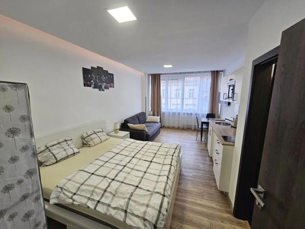 Pronájem bytu 1+kk, Praha - Nové Město, Opletalova, 22 m2