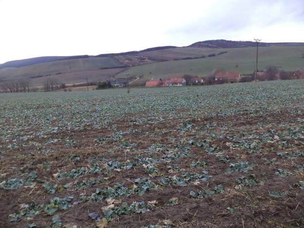 Dražba pole, Morkůvky, 6867 m2