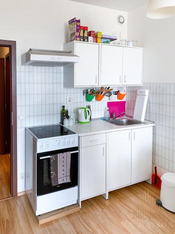 Pronájem bytu 1+kk, Praha - Vysočany, Freyova, 33 m2