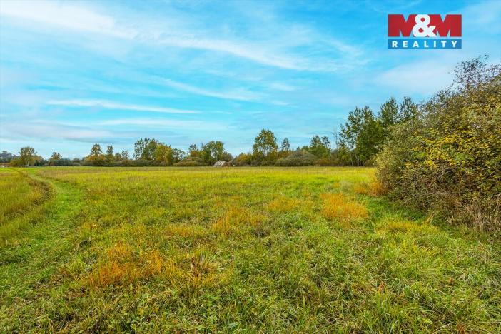 Prodej louky, Jestřebí, 14822 m2