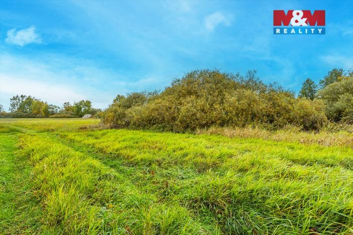 Prodej louky, Jestřebí, 14822 m2