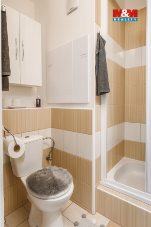 Prodej bytu 2+kk, Děčín, Závodní, 42 m2