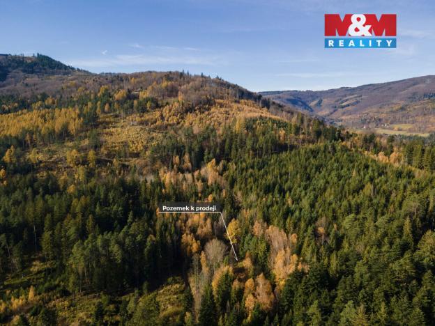 Prodej louky, Milíkov, 4541 m2