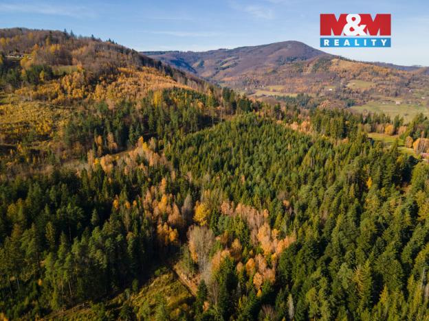 Prodej louky, Milíkov, 4541 m2