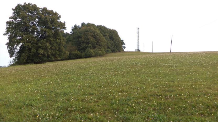 Prodej pole, Rajnochovice, 13124 m2