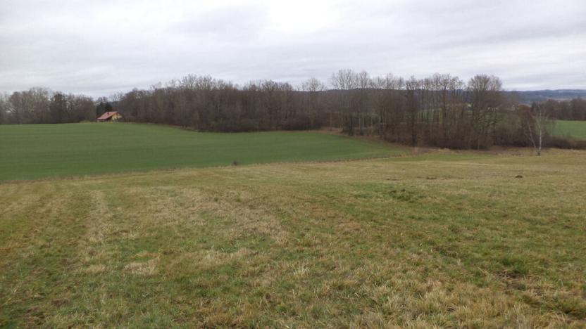 Prodej pole, Srby, 19946 m2