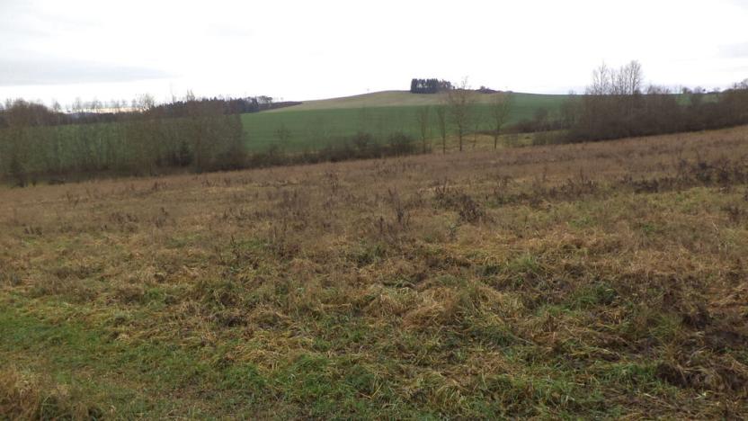 Prodej pole, Srby, 19946 m2