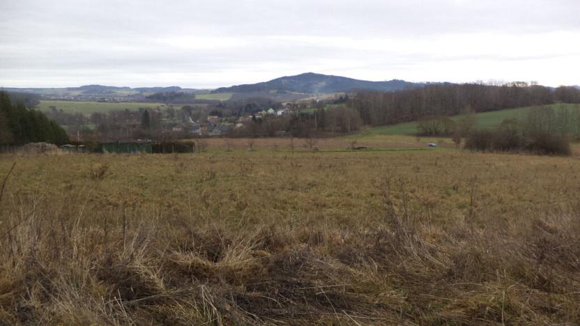 Prodej pole, Srby, 19946 m2