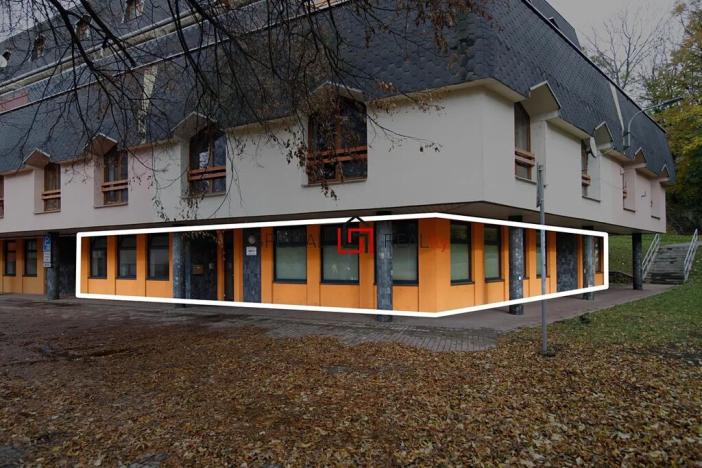 Prodej obchodního prostoru, Ostrava, U Staré elektrárny, 533 m2