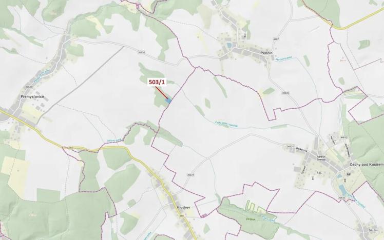 Dražba lesa, Přemyslovice, 7049 m2