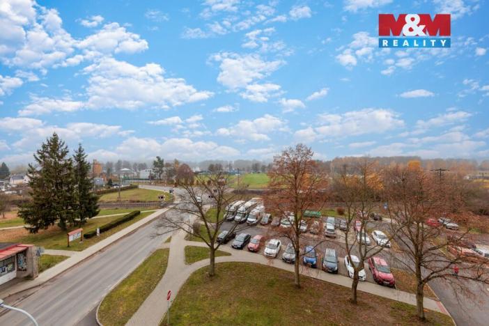 Prodej bytu 3+1, Nová Role, Chodovská, 58 m2