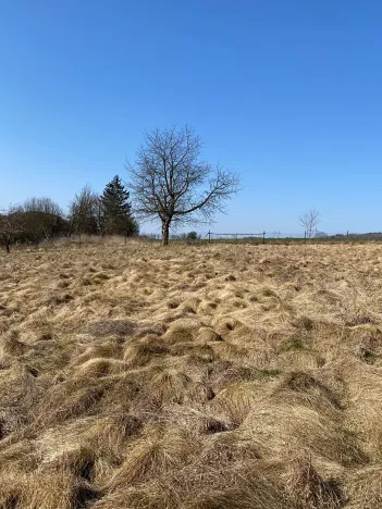Prodej pozemku pro bydlení, Hamr na Jezeře, 875 m2